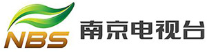 南京电视台logo.jpg